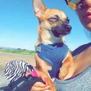 Meet your Posher, Yecenia